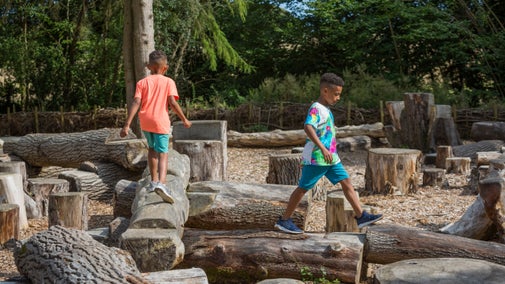 Two boys playing in The Log Stack wild play area at Dyffryn Gardens, Vale of Glamorgan
