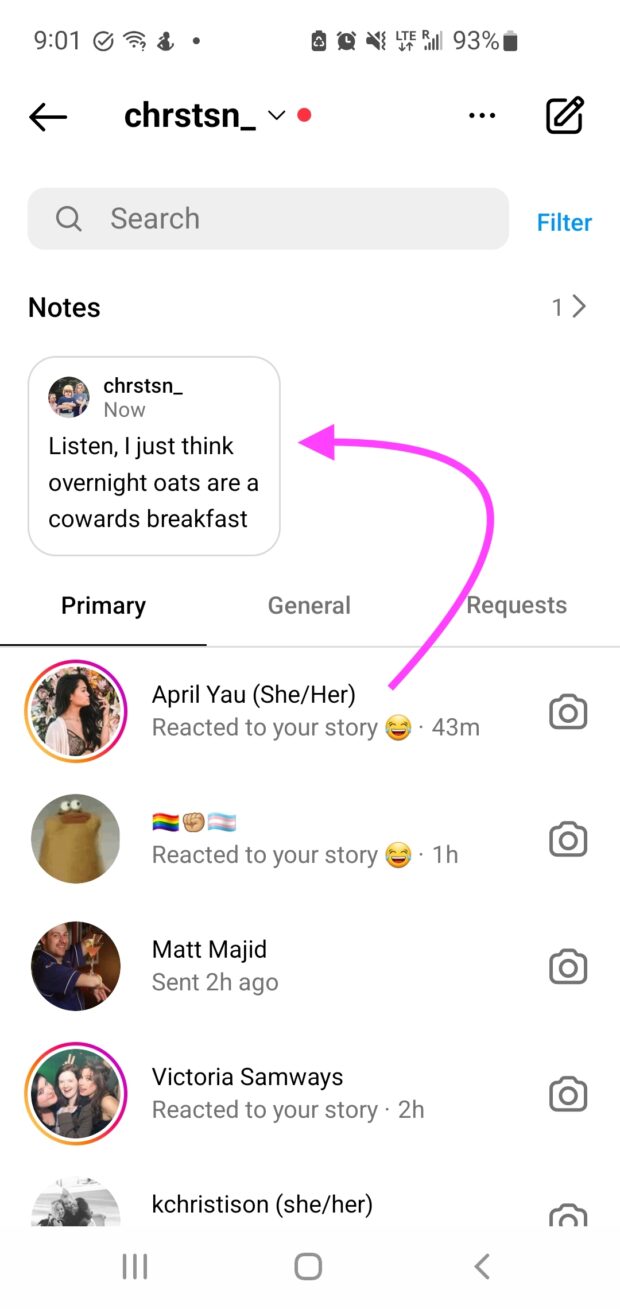 Instagram notes found in inbox above direct messages
