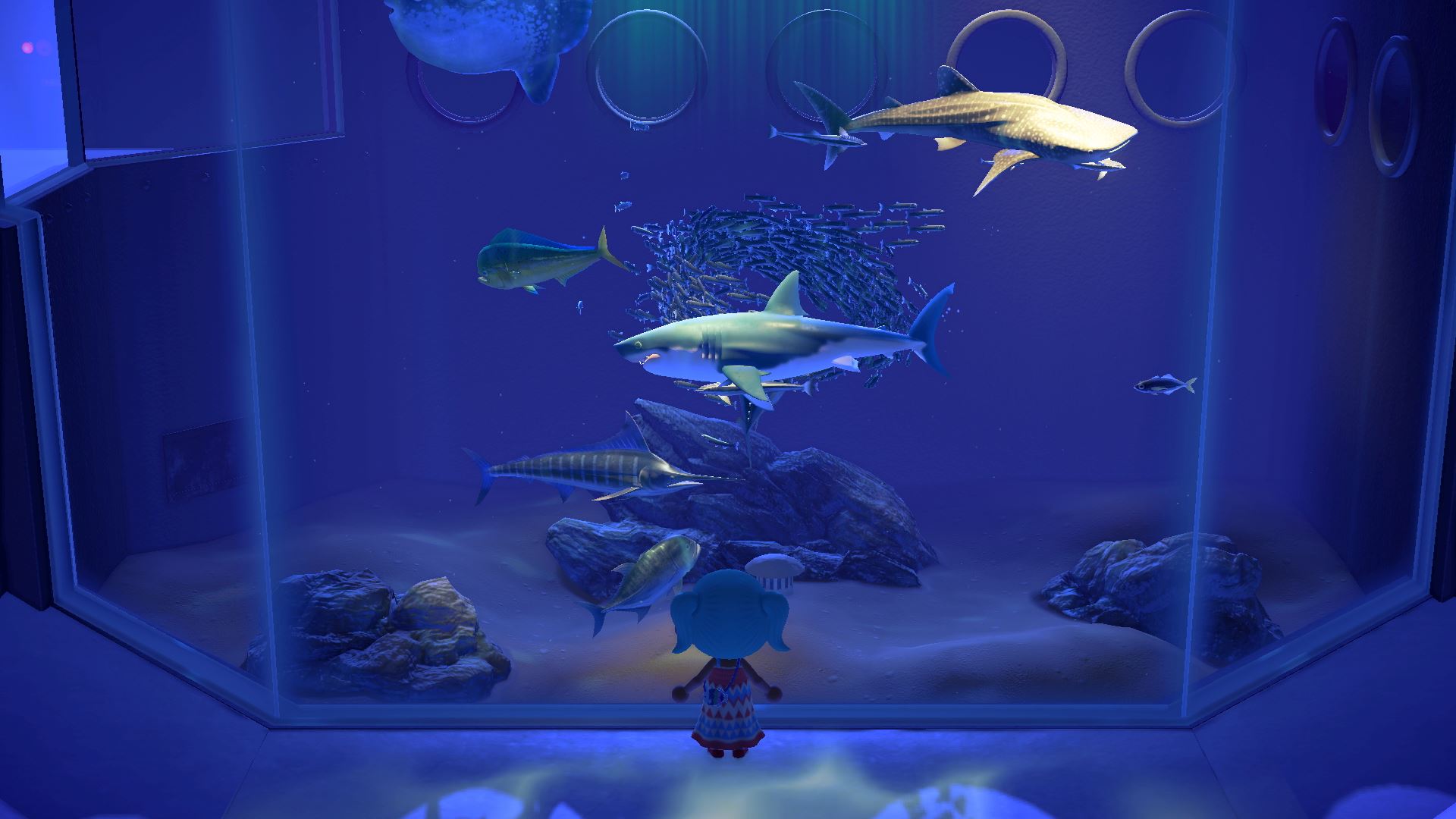 A screenshot from Animal Crossing: New Horizons showing a character at the aquarium. 