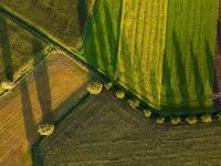 Aerial view of fields