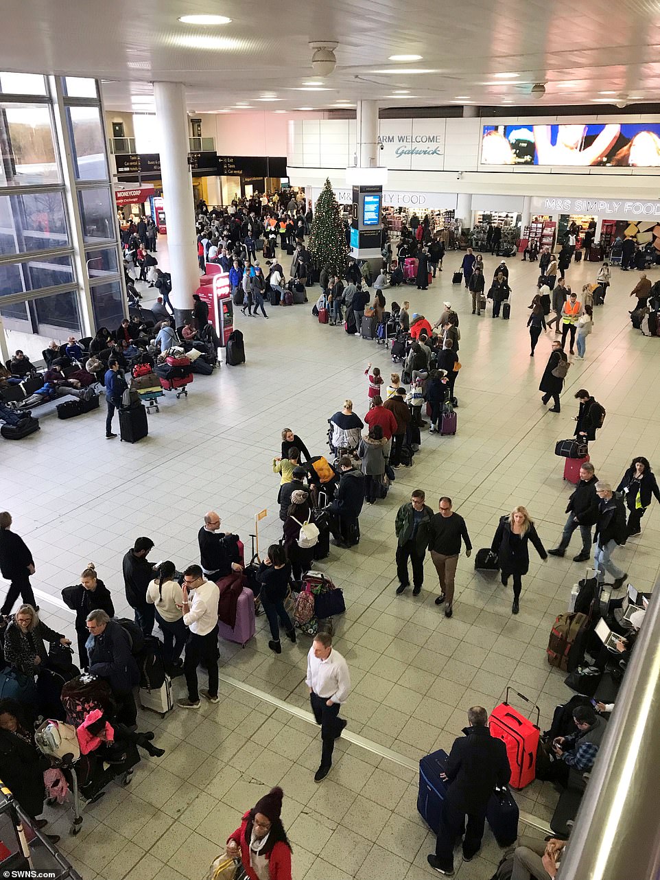 On one of the busiest travelling days of the year queues snaked through Gatwick South as people tried to check in for flights that were going nowhere
