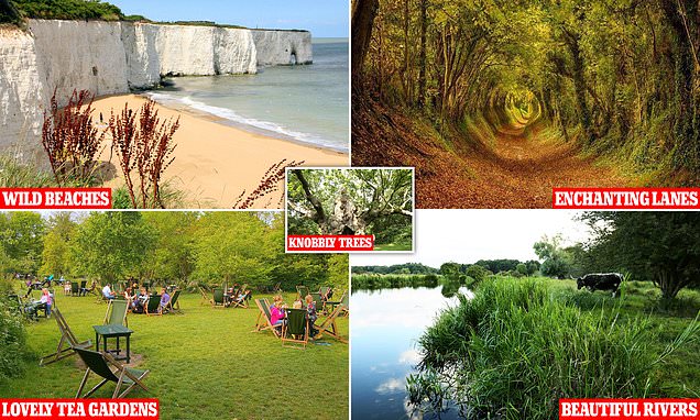 Wild Guide reveals the stunning secret beauty spots in London and the South East