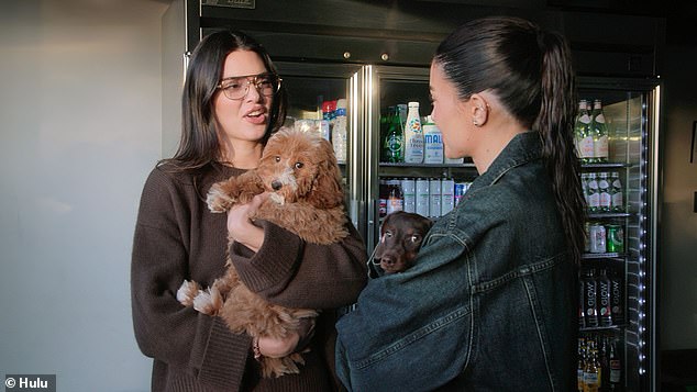 After Kendall had cut out from the Balenciaga show her sister Kim Kardashian had been at in Beverly Hills to visit Kylie's house with an adorably fluffy puppy
