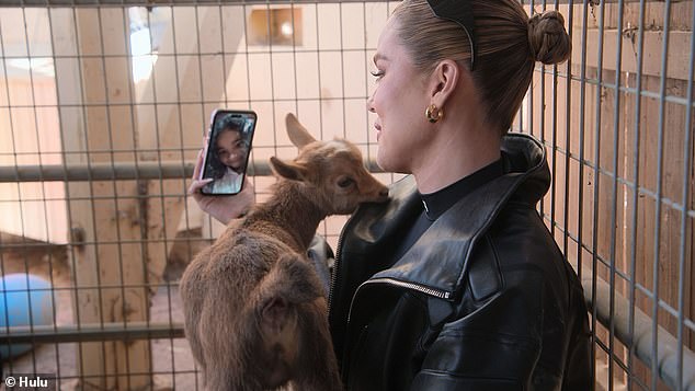 She FaceTimes her daughter true to see the goats, and she was delighted
