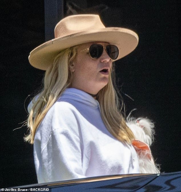 Britney emerged from a first SUV in a white hoodie, but she quickly stripped out of it amid Los Angeles' current heat wave