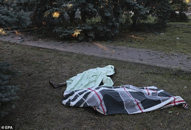 Two bodies pictured beneath picnic blankets in a park in Vilniansk