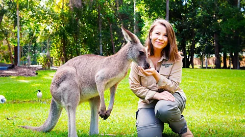 Australia Zoo / Kate Berry Bindi Irwin kangaroo (Credit: Australia Zoo / Kate Berry)