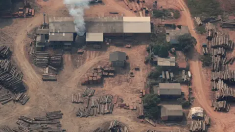Reuters Aerial view of suspected illegal logging site (Reuters)