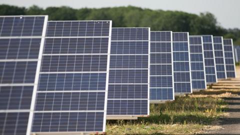 A number of solar panels in a field with trees in the background