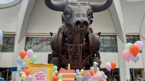 Ozzy the bull with balloons and presents around him