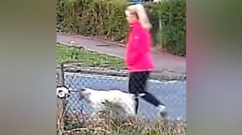 Anita Rose walking with her dog and wearing a pink jacket