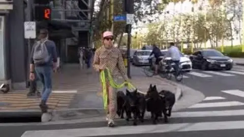 A man in a patterned matching suit and a pink cap walks five black dogs across the road