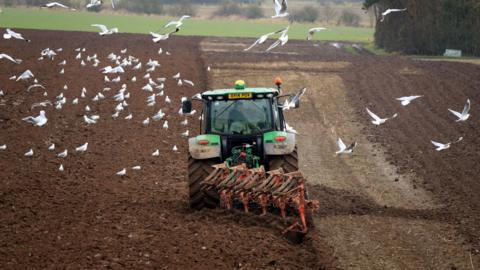 A green tractor ploughing a field of soil surrounded by seagulls