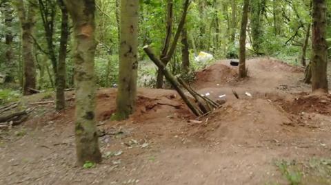 Felled trees and evidence of a cycle trail in woodland at Newbold Comyn