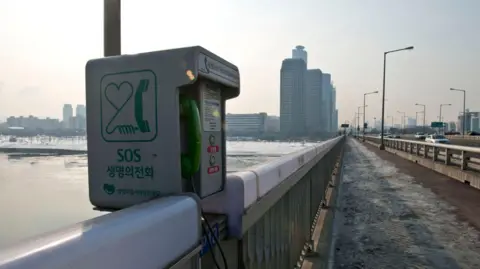 Getty Images A phone to call for help on a bridge in South Korea
