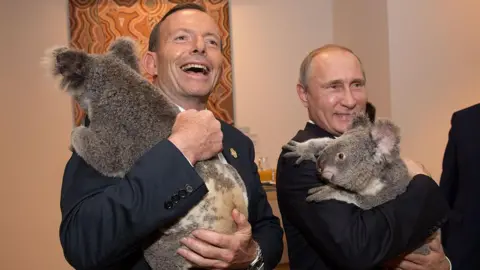 Getty Images Tony Abbott and Vladimir Putin with koalas