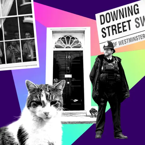 Getty Image  Collage of Larry the cat, the door of No 10 Downing Street, a police man, the Downing Street road sign and staff looking out the windows at Downing Street