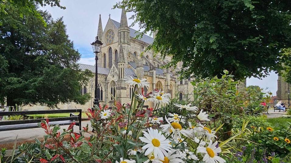 Chichester Cathedral with daisy-like flowers in the foreground