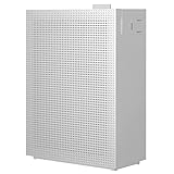 Coway Professional Air Purifier.