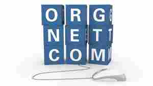 Beyond .Com: Some See Confusion In Internet Domain Expansion
