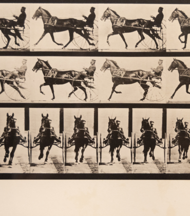 Photograph by Eadweard Muybridge “Animal Locomotion” on display in the exhibit Movement Exercises (After Muybridge) at UCR Arts, California Museum of Photography, running from March 2-July 7, 2024.  (UCR/Stan Lim)