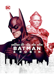 Slika ikone Batman und Robin