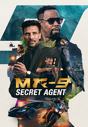 Дүрс тэмдгийн зураг MR-9: Secret Agent
