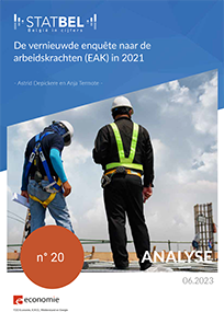 Analyse - De vernieuwde enquête naar de arbeidskrachten (EAK) in 2021