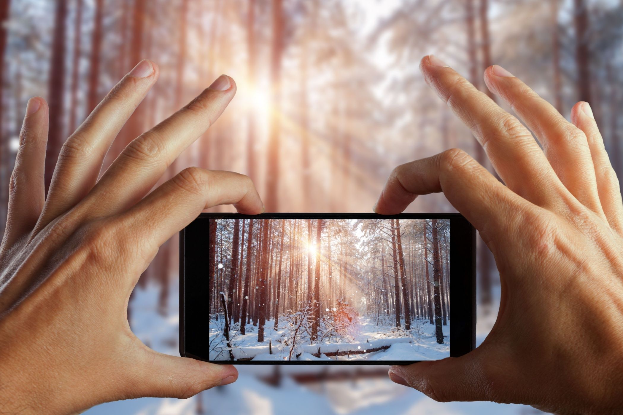 Person holding smartphone, taking photo of snowy forest with sun rays in the background
