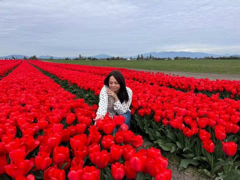 Forget traveling to the Netherlands. I saw millions of colorful tulips without having to leave the US. 