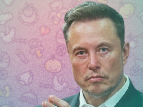 Understanding Elon’s 12: Has Musk switched allegiances from climate to the fertility crisis for good?