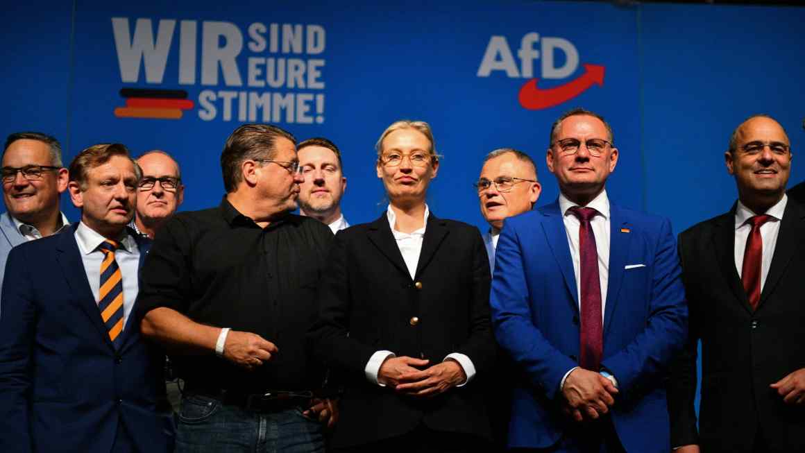 Germany’s AfD hopes for far-right victory in France