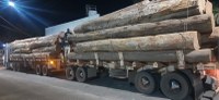 Combate ao Crime Ambiental : Apreensão de 72,42 m³ de madeira nativa transportada irregularmente