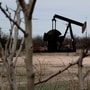 Last week, both benchmarks had gained on upbeat hopes that oil inventories are set to fall as the summer season gets under way in the northern hemisphere. (REUTERS)