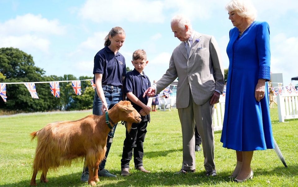The King and Queen met Summerville Tamsin, an eight-year-old female Golden Guernsey Goat