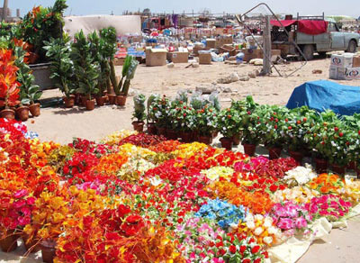 flower market in Libya